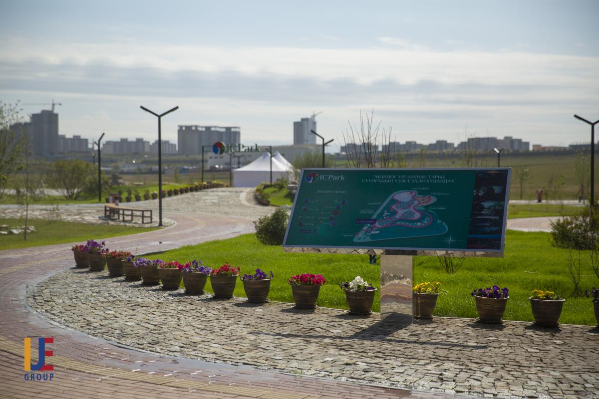 IC Park-ын талбайд 7000 гаруй модыг тарьж, арчилж байна.